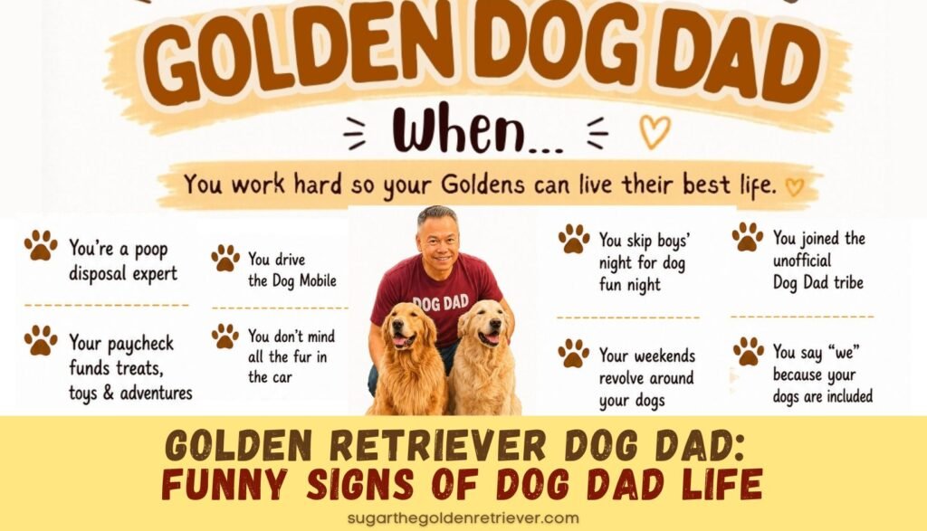 Infographic - Funny Signs of Dog Dad - Golden Retriever Dog Dad Infographic - Funny Signs of Dog Dad - Golden Retriever Dog Dad