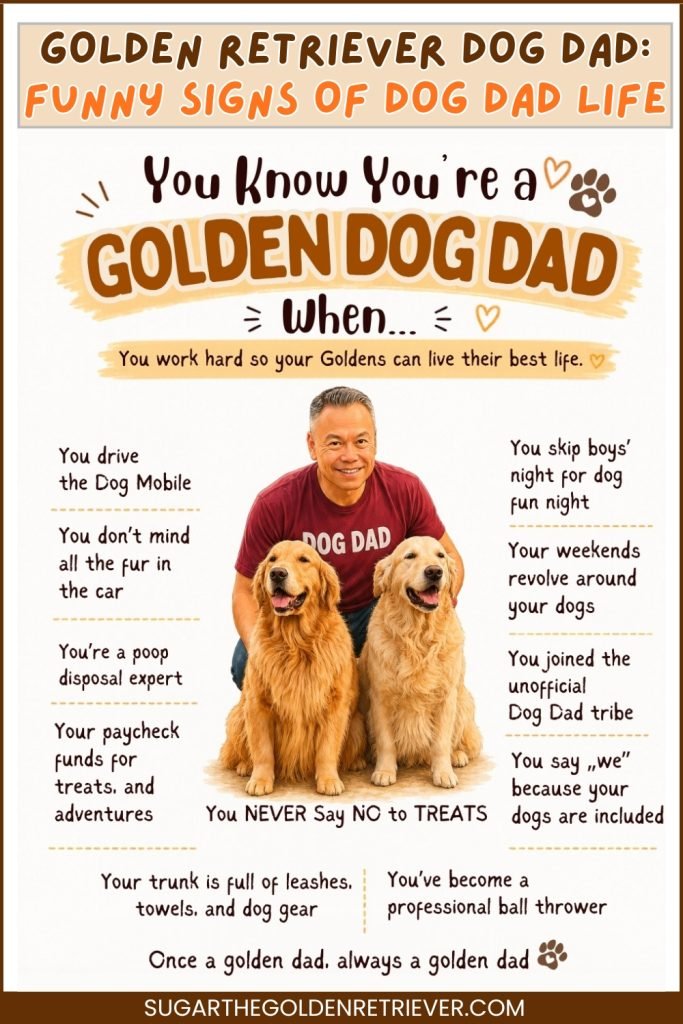 Infographic Golden Retriever Dog Dad- Funny Signs of Dog Dad Life Infographic Golden Retriever Dog Dad- Funny Signs of Dog Dad Life