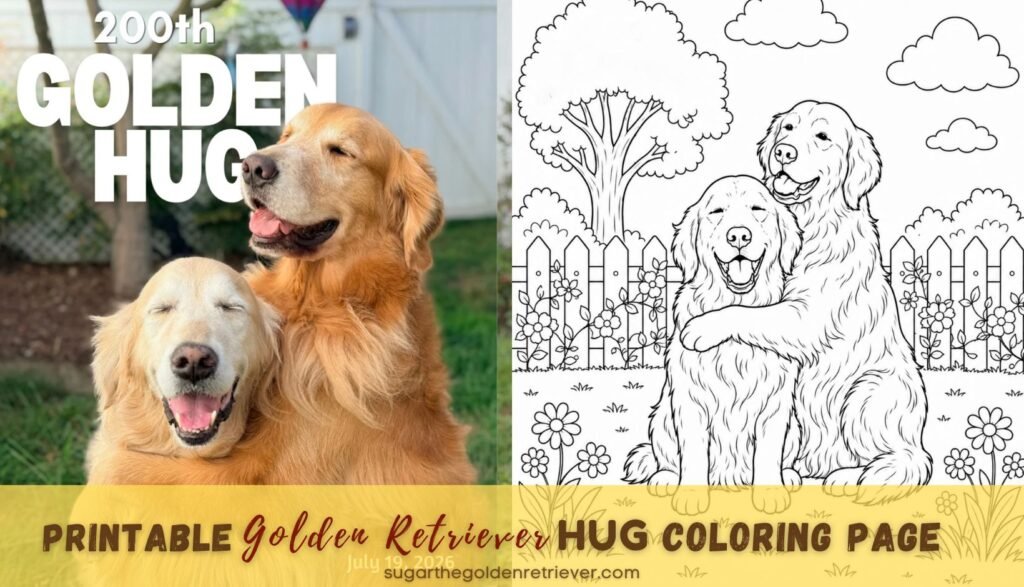 Free Printable Golden Retriever Hug Coloring Page Free Printable Golden Retriever Hug Coloring Page