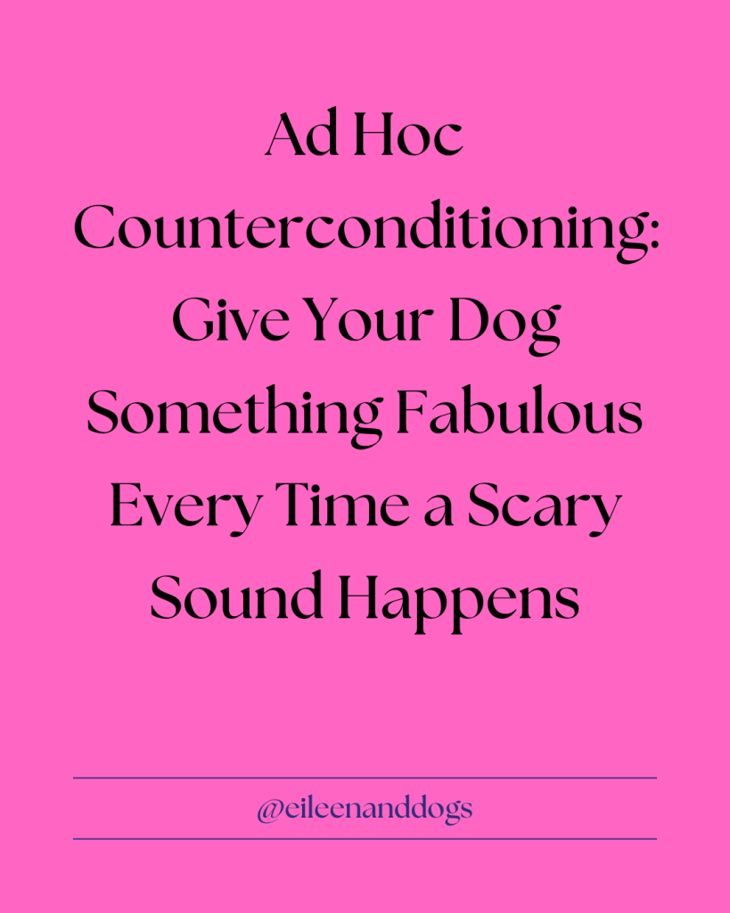 Text image: "Ad Hoc Counterconditioning: Give Your Dog Something Fabulous Every Time a Scary Sound Happens"