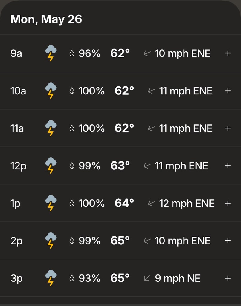 An hourly weather forecast that shows a likelihood of thunderstorms varying from 93% to 100% for seven hours straight