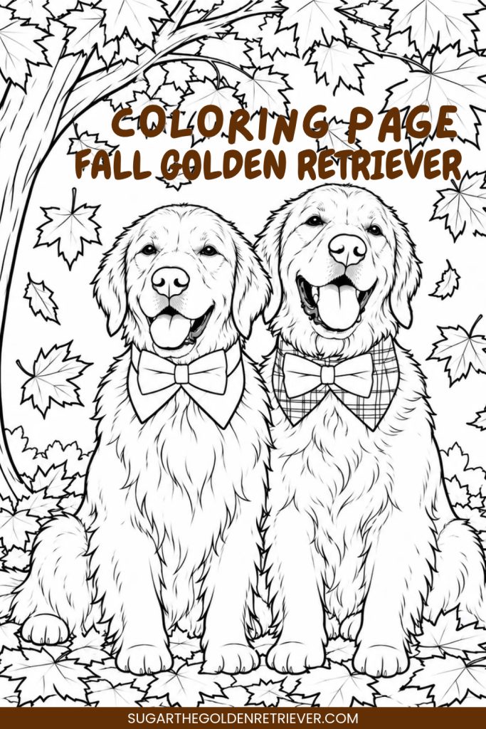 Free Printable Fall Golden Retriever Coloring Page Free Printable Fall Golden Retriever Coloring Page
